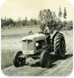 Farming in the valley